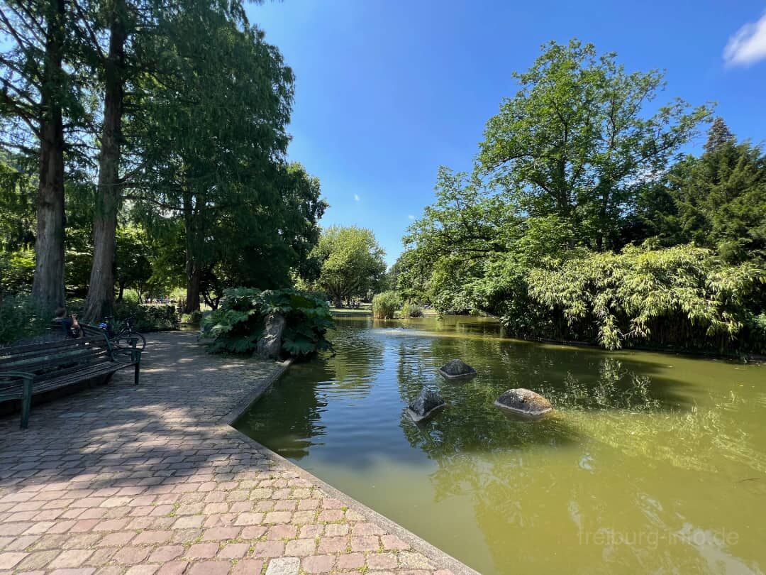 Teichanlage im Freiburger Stadtgarten