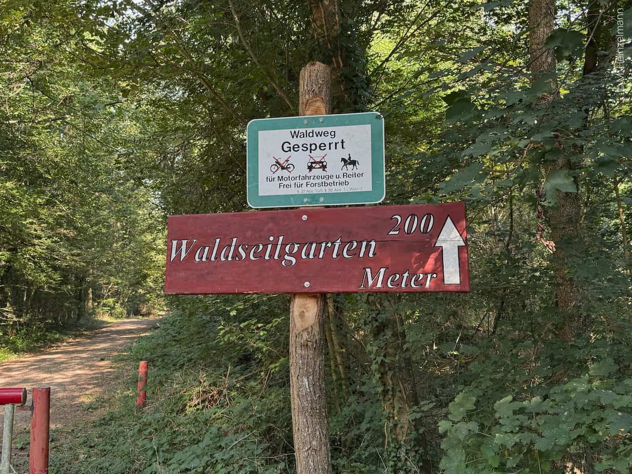 Waldseilgarten